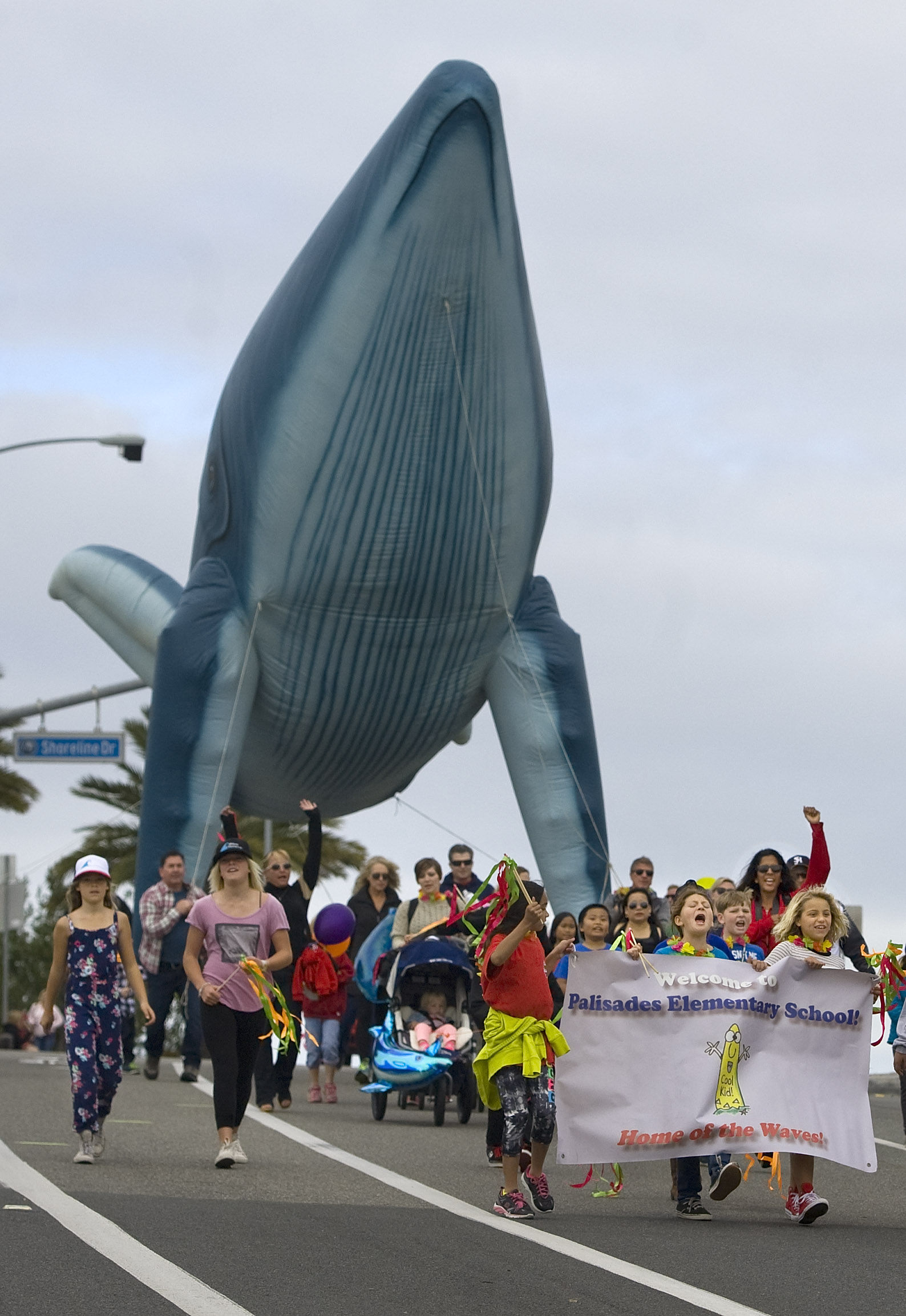 Festival of Whales opens Saturday for two weekends in Dana Point Pure